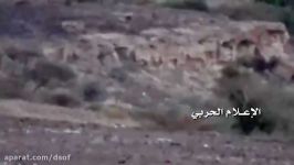 شکار یکی مزدوران عربستان سعودی در مارب