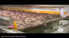 Frozen Shrimp میگو منجمد