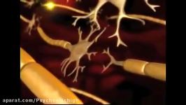 How a Neuron Fires