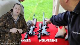 BEAST REVIEW Daystate Wolverine B  Hunting Air Rifle