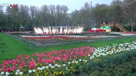 مراسم افتتاح پنجمین جشنواره لاله ها در باغ گلهای کرج