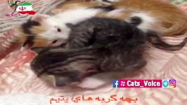 بهم قول بده هرگز رهایم نكنی