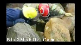 نجات بچه آهو در صخره