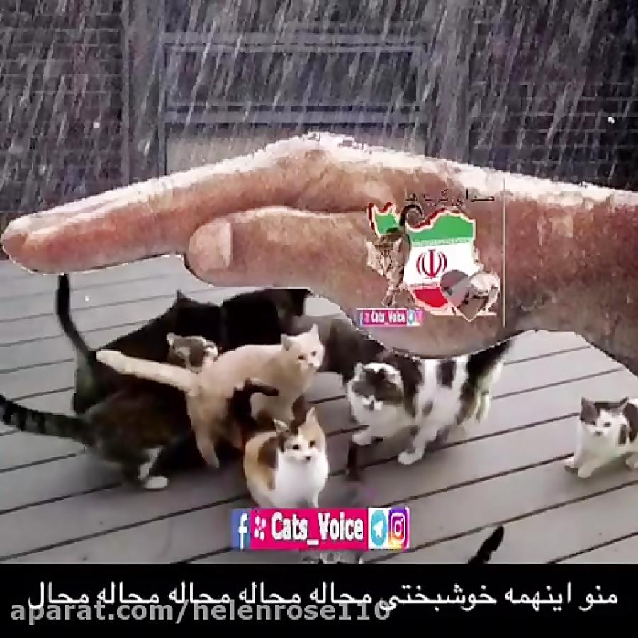 منو اینهمه خوشبختى محاله محال