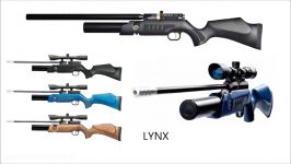 Best PCP Air Rifles for Hunting Up to Feb 2013 Part  2