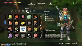 Zelda Breath of the Wild Heat Resistance Boost Recipes Meals BOTW