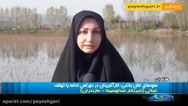 سودهای کلان بانکی؛ کارآفرینان در دوراهی ادامه یا توقف