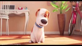 The Secret Life Of Pets  Memorable Moments FHD