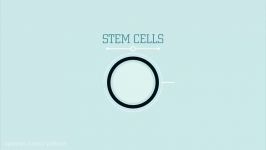سلول های بنیادی چه نوع سلول هایی هستند؟