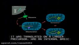 Molecular Chaperones in Protein Folding and Neurodegeneration