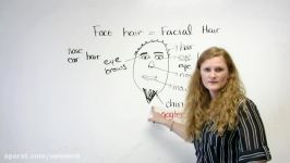 English Vocabulary  the face and hair