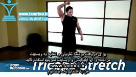 آموزش حرکت کشش پشت بازو ایستاده Triceps Stretch