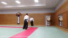 تدریس استاد رضا صمدی  ژاپن 2 Reza Samadi Sensei 