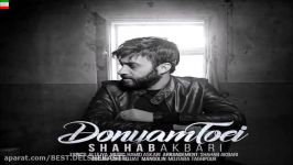 Shahab Akbari – Donyam Toei آهنگ دنیام تویی صدای شهاب اکبری