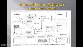 Opioid Induced Hyperalgesia