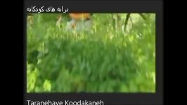 آهویی دارم خوشگله