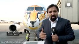 نقش یوزپلنگ در حال انقراض ایرانی بر روی هواپیما، تلاشی برای ارتقاء محیط زیست