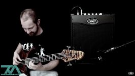 معرفی آمپلی فایر گیتار Peavey Max 112