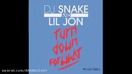 DJ Snake ft. Lil Jon Turn Down For What