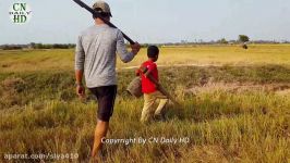 Wow Two Boys Catch Biggest Snake In The Hole By Digging  How to Dig