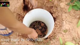 Incredible Girl Catch Snake Using Barrel and deep hole  How to catch water Snake In Cambodia #17