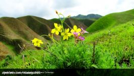 ویدیویی تماشایی استان گلستان همراه موسیقی محلی