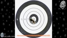 Hatsan BT65 SB Elite .22 PCP air rifle with regulator 50 yards shots JSB Exact Jumbo Heavy 18.13gr