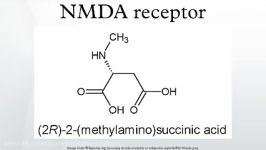 NMDA receptor