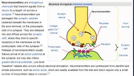 Neurotransmitters Overview