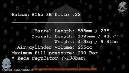 Hatsan AT44 .177 vs BT65 SB Elite .22 grouping muzzle velocity and energy