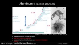 Aluminum Adjuvant Neurotoxicity and Brain Translocation in Mouse Model