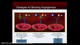 Panel Neuroendocrine Tumors 101  A Primer