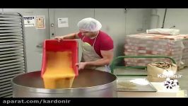 Hand Held Pizzas پیتزا دستی