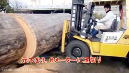 Amazing Biggest Hardwood Sawmill Automatic Cutting  Inteligent Technology Largest Sawmill Lumber
