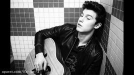 آهنگ راک جدید بسیار شنیدنی Shawn Mendes