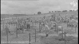 Germanys Western Defences  The Siegfried Line 1939