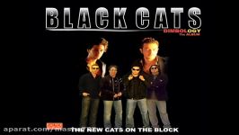 Black Cats Yeki Bood Yeki Nabood  moloud poursafa