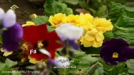 ❤️ میکس عاشقانه بسیار زیبا آهنگ محسن یگانه ❤️