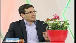 هر كسی را بهر كاری ساختند، نیمكره های مغزی كارآفرینی