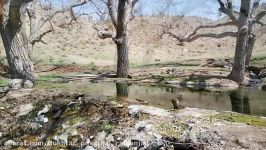 طبیعت زیبای روستای اردیز.رفسنجان