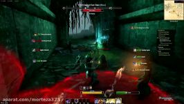 The Elder Scrolls Online Gameplay 2016 Melee Build