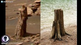 ANCIENT Tree Stump Found On Mars 42217