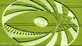 Scientist Claims Crop Circles Are Messages From ALIENS and TIME TRAVELERS