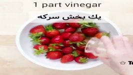 تازه نگه داشتن میوه ها سبزیجات تا هفته ها