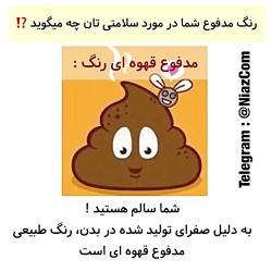 رنگ مدفوع شما در مورد سلامتی شما چه میگوید ⁉️