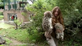 Snow Leopard Cubs