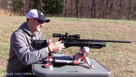 Umarex Gauntlet Air Rifle Review