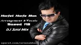 Saeed KB Harfet Harfe man DJ Said Party Mix