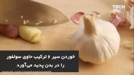 چرا خوردن سیر باعث بوی بد دهان می شود