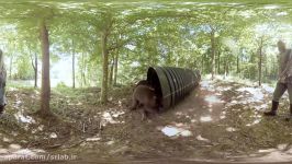 Grizzly Bears Up Close and Personal  Project Grizzly 360 Video